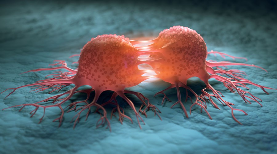 Why Cancer Rates Are Surging in Young Adults, Doctors Reveal the Hidden Triggers